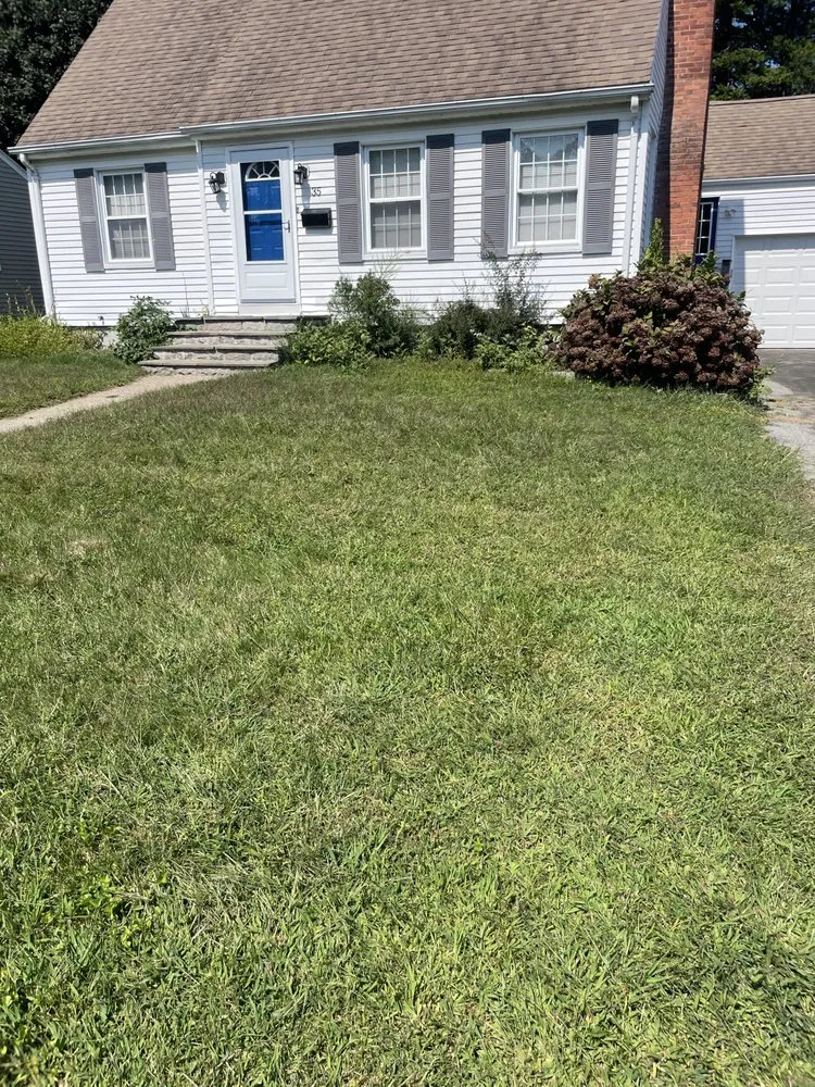 Expert yard maintenance in Salem, CT - Thomas Lawn Care