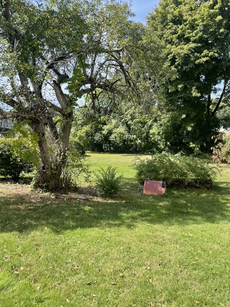 Expert lawn care service experts serving Salem, CT - Thomas Lawn Care