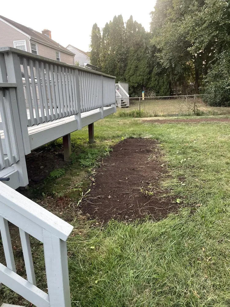 Expert yard cleanup service experts serving Salem, CT - Thomas Lawn Care