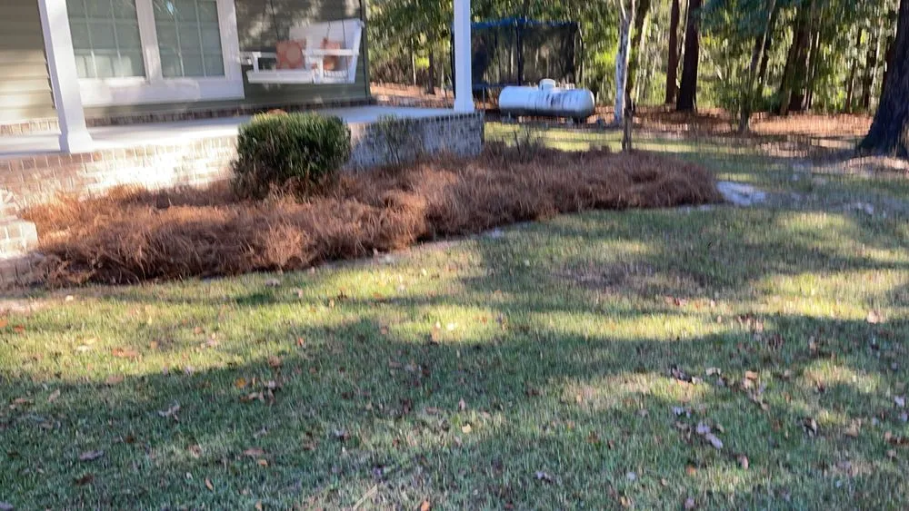 Affordable landscaping services experts serving Springfield, GA - Thomas Lawn Care Service
