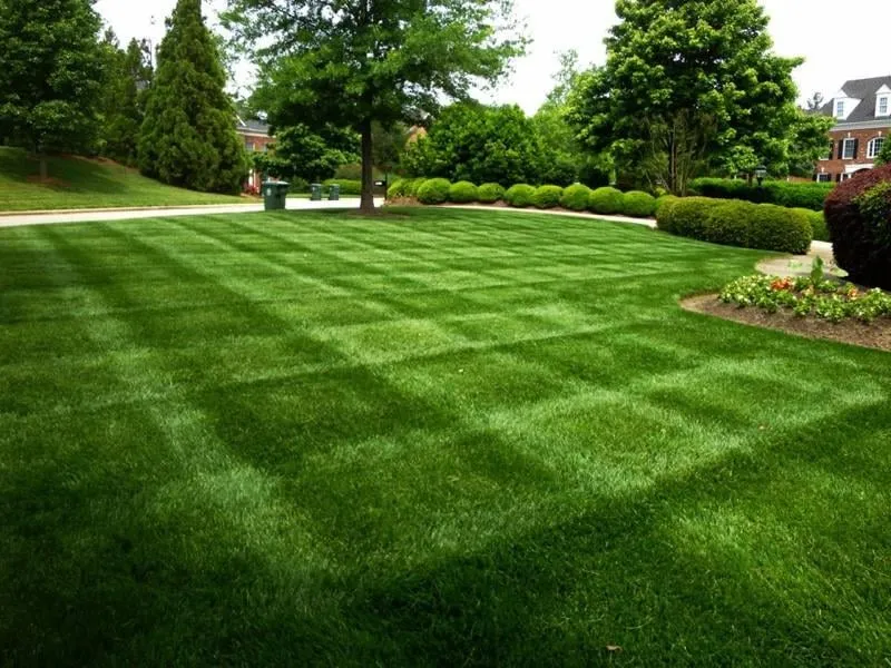 Trusted landscape design for residential properties in Westmont, IL by Thomas Lawn Care