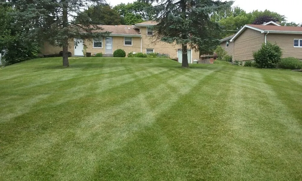 Trusted yard cleanup service in Westmont, IL by Thomas Lawn Care