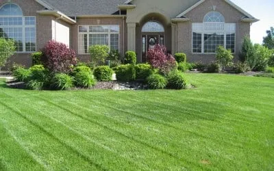 Local yard maintenance in Westmont, IL by Thomas Lawn Care