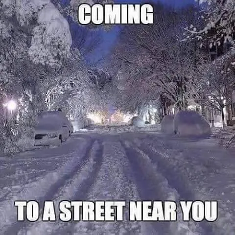 Local landscape design for residential properties in Westmont, IL by Thomas Lawn Care