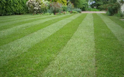 Custom landscaping services in Westmont, IL - Thomas Lawn Care