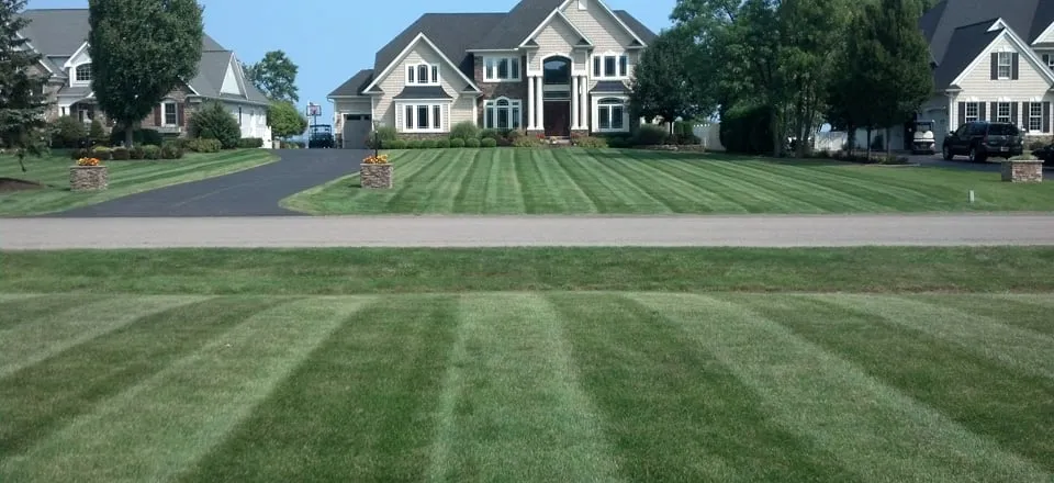 Trusted landscape design near you across Westmont, IL - Thomas Lawn Care