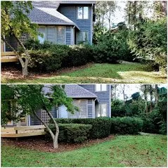 Trusted yard maintenance experts serving Wilmington, NC - Thomas Lawn Care