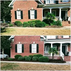 Expert landscaping services for beautiful yards in Wilmington, NC by Thomas Lawn Care