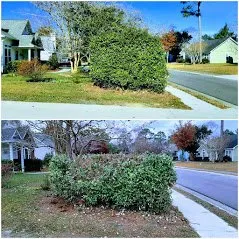 Local yard maintenance in Wilmington, NC - Thomas Lawn Care
