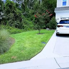 Top-rated landscape installation in Wilmington, NC - Thomas Lawn Care