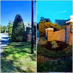 Affordable yard maintenance experts serving Wilmington, NC - Thomas Lawn Care