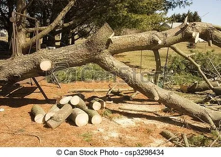 Trusted garden landscaping with custom design across Rural Hall, NC - Thomas Lawncare and More