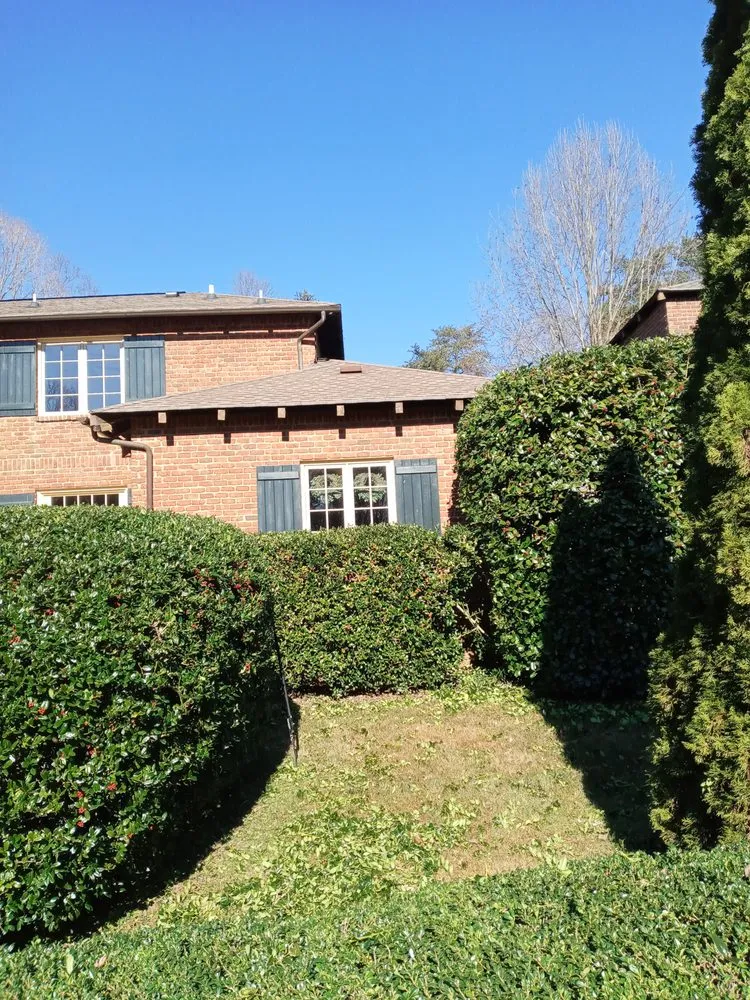 Trusted yard maintenance for residential properties across Rural Hall, NC - Thomas Lawncare and More