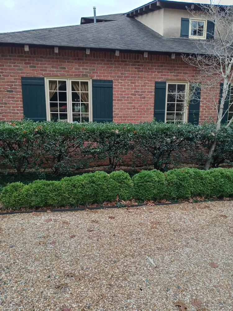 Reliable landscape installation experts serving Rural Hall, NC - Thomas Lawncare and More
