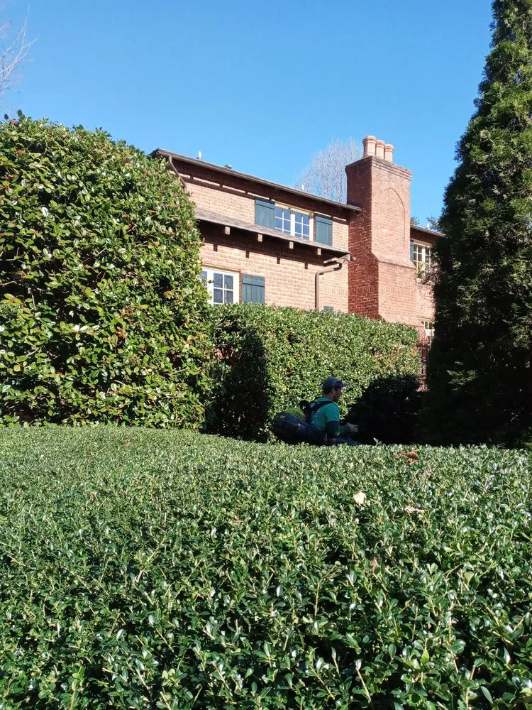 Top-rated landscaping services with custom design in Rural Hall, NC by Thomas Lawncare and More