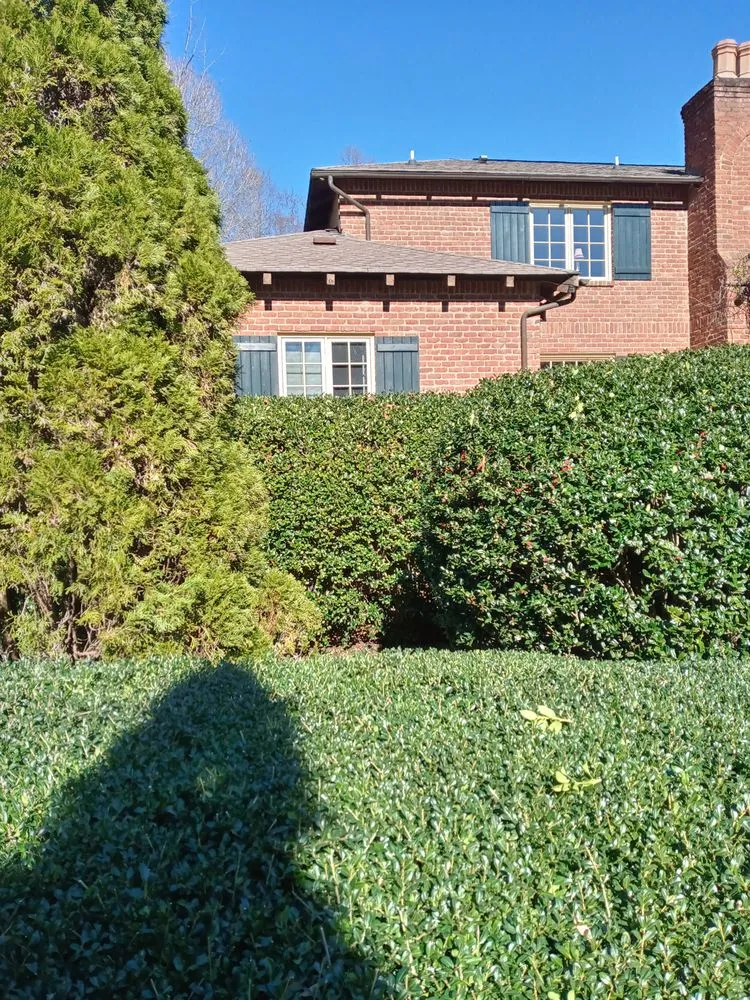 Reliable yard maintenance in Rural Hall, NC by Thomas Lawncare and More