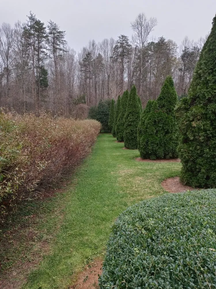 Affordable outdoor landscaping for residential properties across Rural Hall, NC - Thomas Lawncare and More
