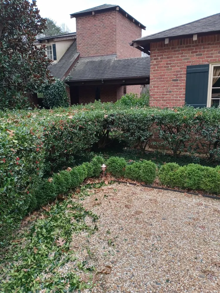 Custom yard cleanup service in Rural Hall, NC - Thomas Lawncare and More