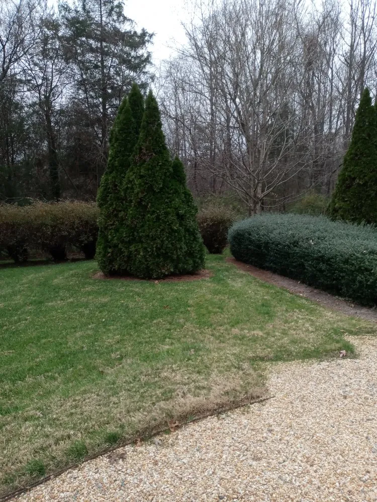 Affordable landscape design experts serving Rural Hall, NC - Thomas Lawncare and More