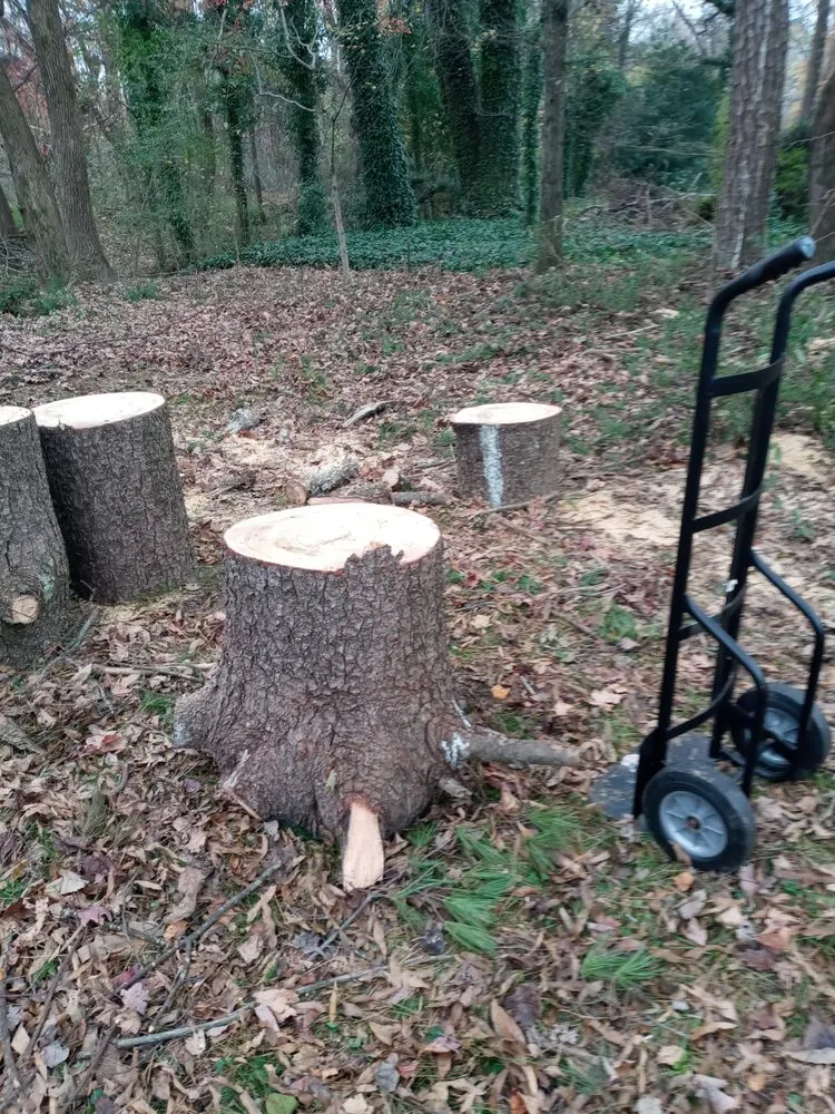 Local landscape installation in Rural Hall, NC - Thomas Lawncare and More