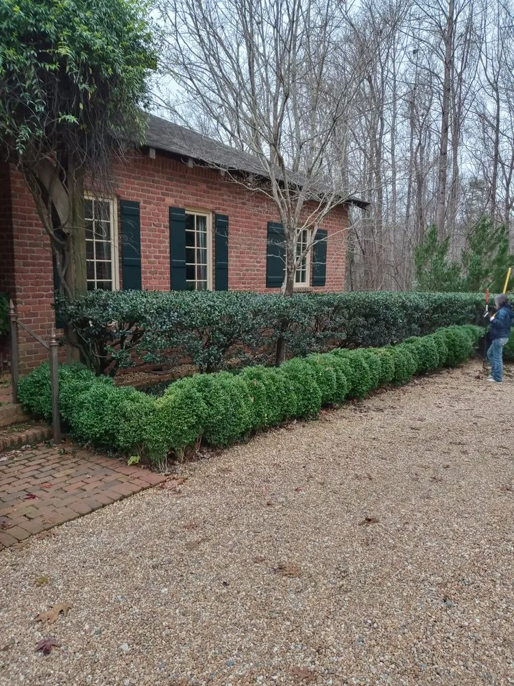 Top-rated lawn mowing service near you across Rural Hall, NC - Thomas Lawncare and More