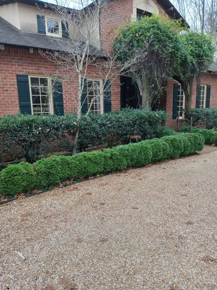 Custom lawn mowing service experts serving Rural Hall, NC - Thomas Lawncare and More