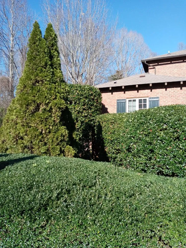 Reliable landscape installation experts serving Rural Hall, NC - Thomas Lawncare and More