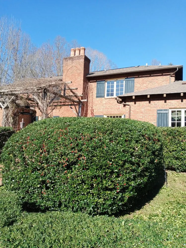 Expert yard maintenance for residential properties across Rural Hall, NC - Thomas Lawncare and More