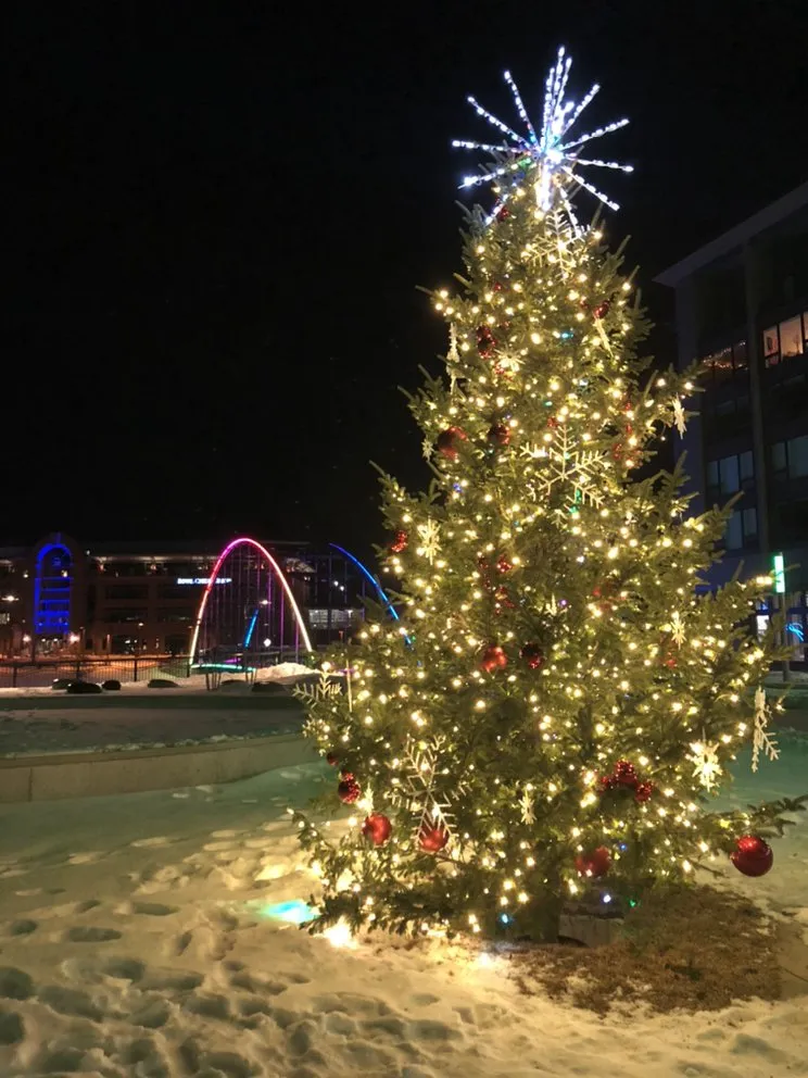 Custom lawn mowing service experts serving Eau Claire, WI - Thomas Leigh Decorators