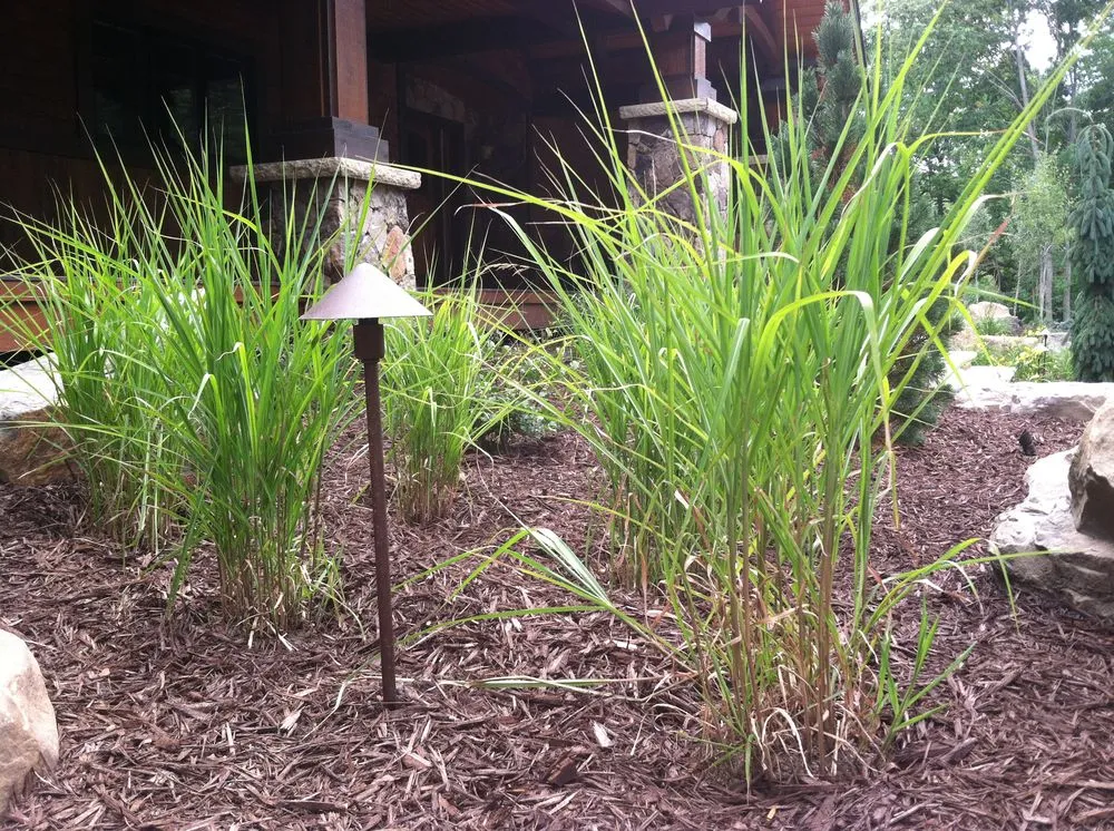 Professional landscaping services in Eau Claire, WI by Thomas Leigh Decorators