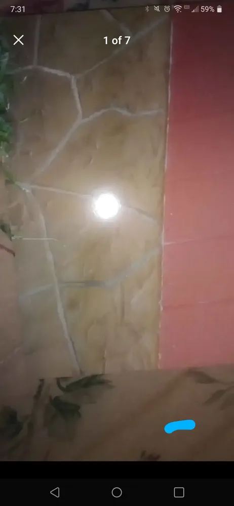 Professional outdoor landscaping for residential properties in Englewood, TN by Thomas Masonry & Mowing