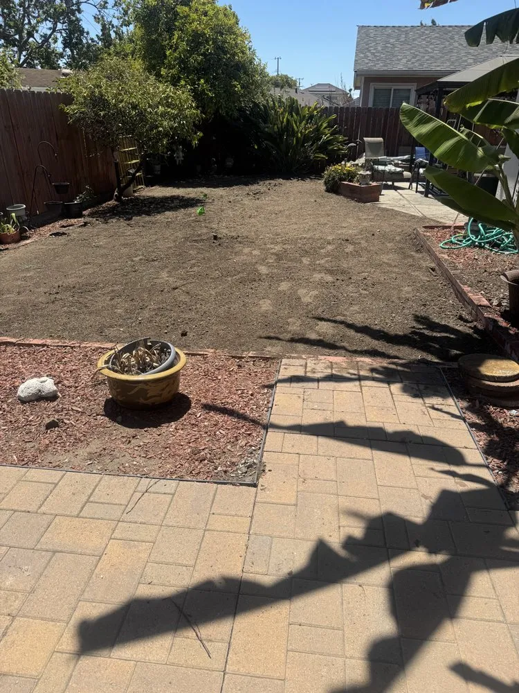 Trusted lawn care service for beautiful yards in Oakland, CA by Thomas Matias Gardening Service