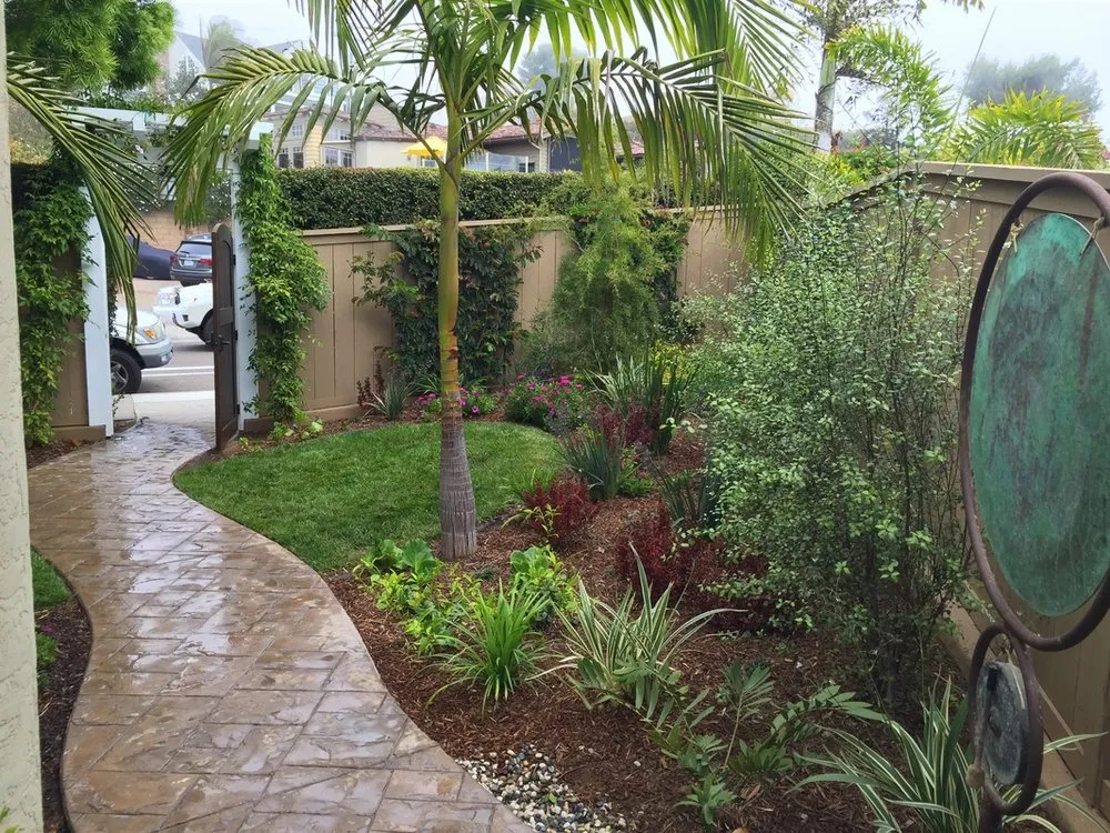 Expert lawn care service in Oakland, CA by Thomas Matias Gardening Service