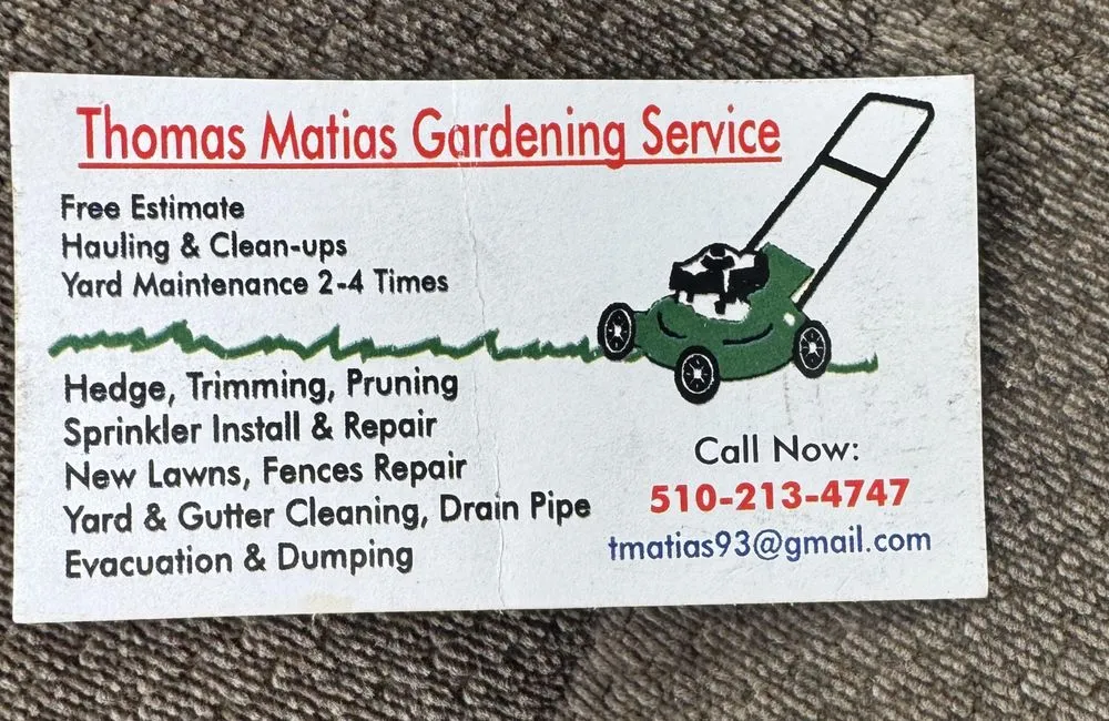 Local garden landscaping in Oakland, CA - Thomas Matias Gardening Service