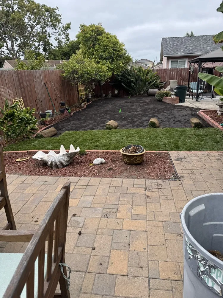 Local landscaping services in Oakland, CA - Thomas Matias Gardening Service