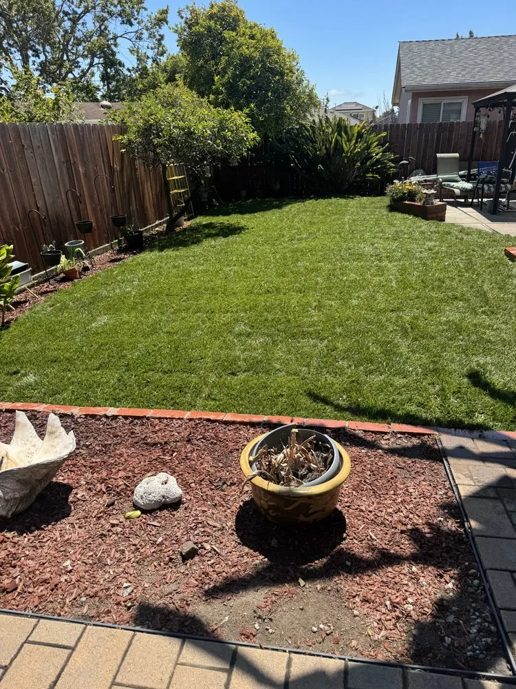 Local outdoor landscaping for year-round maintenance in Oakland, CA by Thomas Matias Gardening Service