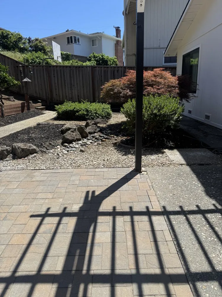 Local yard cleanup service in Oakland, CA by Thomas Matias Gardening Service