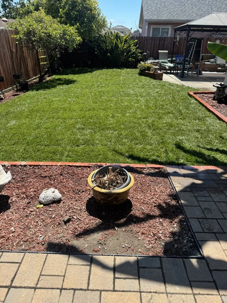 Custom lawn mowing service in Oakland, CA by Thomas Matias Gardening Service