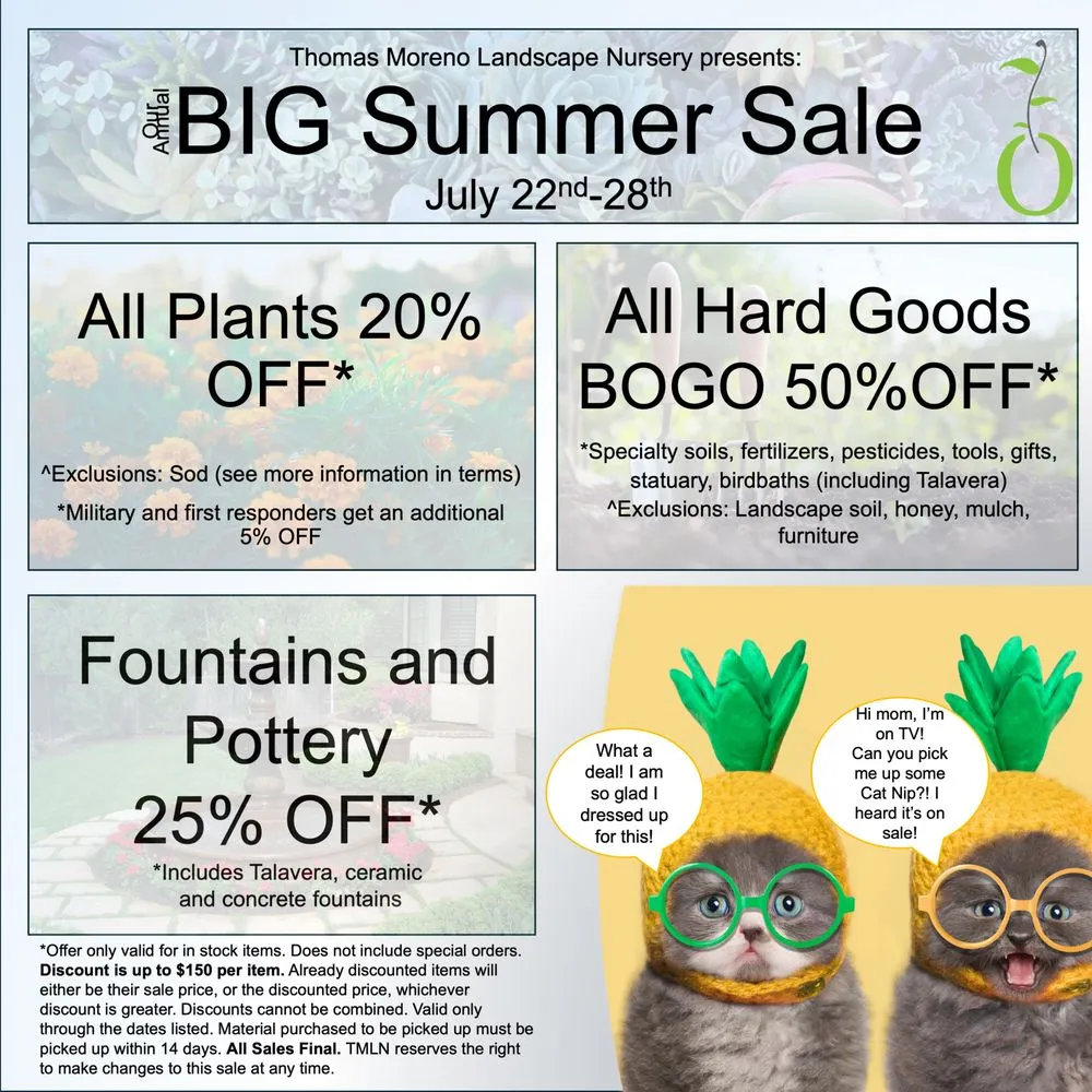 Reliable outdoor landscaping experts serving Sanford, FL - Thomas Moreno Landscape Nurseries