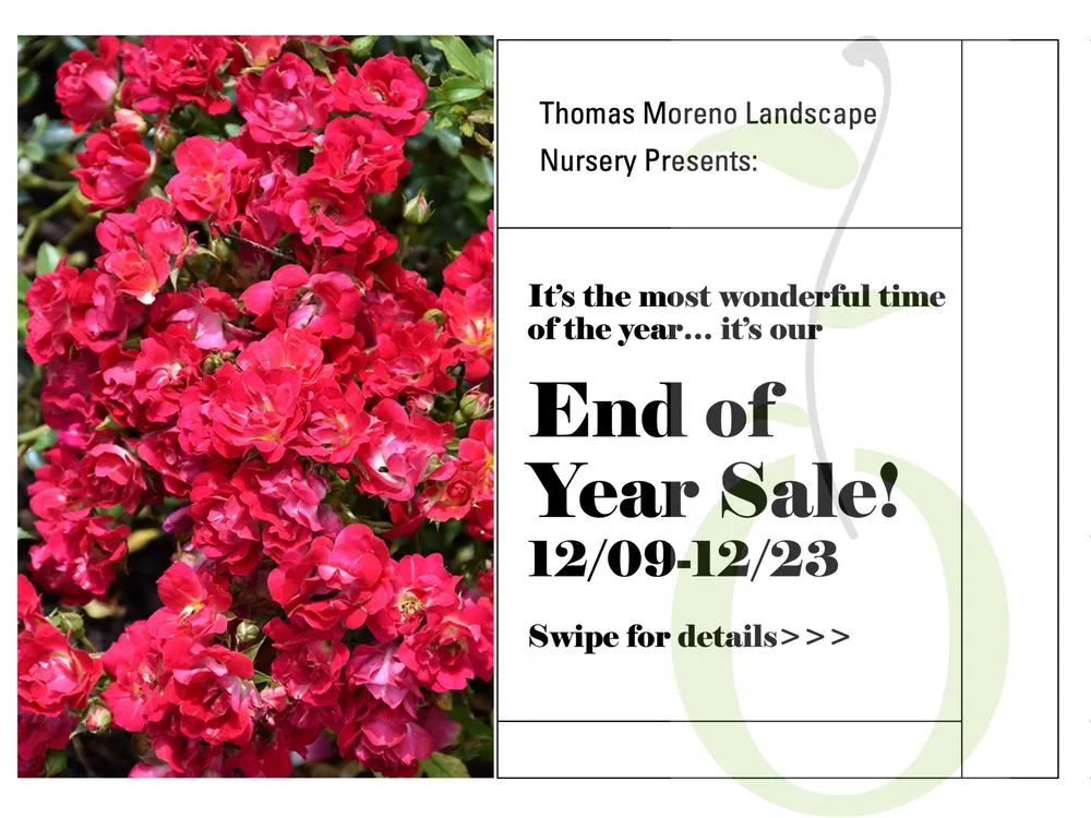Top-rated garden landscaping in Sanford, FL - Thomas Moreno Landscape Nurseries