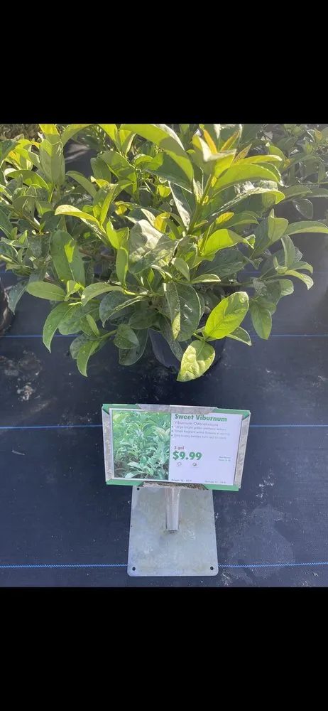 Professional landscaping services for homes across Sanford, FL - Thomas Moreno Landscape Nurseries