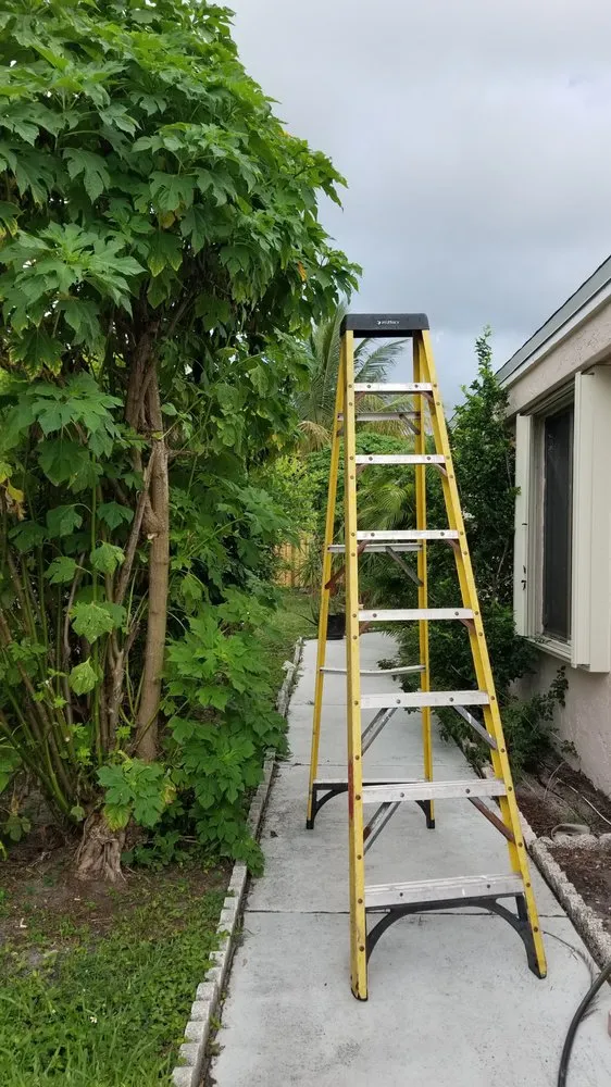 Expert lawn mowing service for year-round maintenance in Lauderhill, FL by Thomas Noder Lawn service