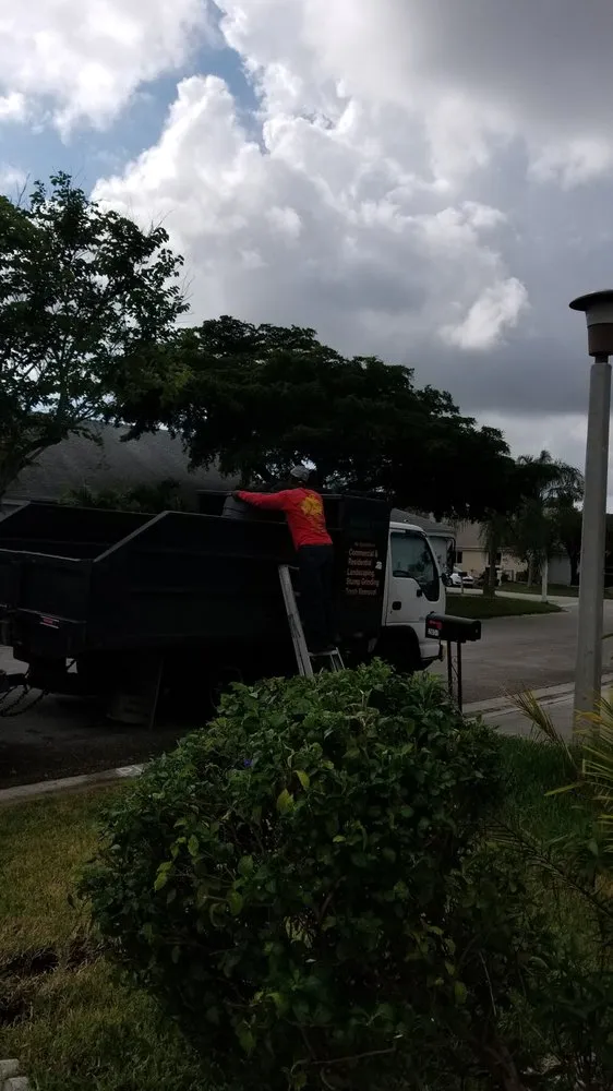 Trusted outdoor landscaping near you in Lauderhill, FL by Thomas Noder Lawn service