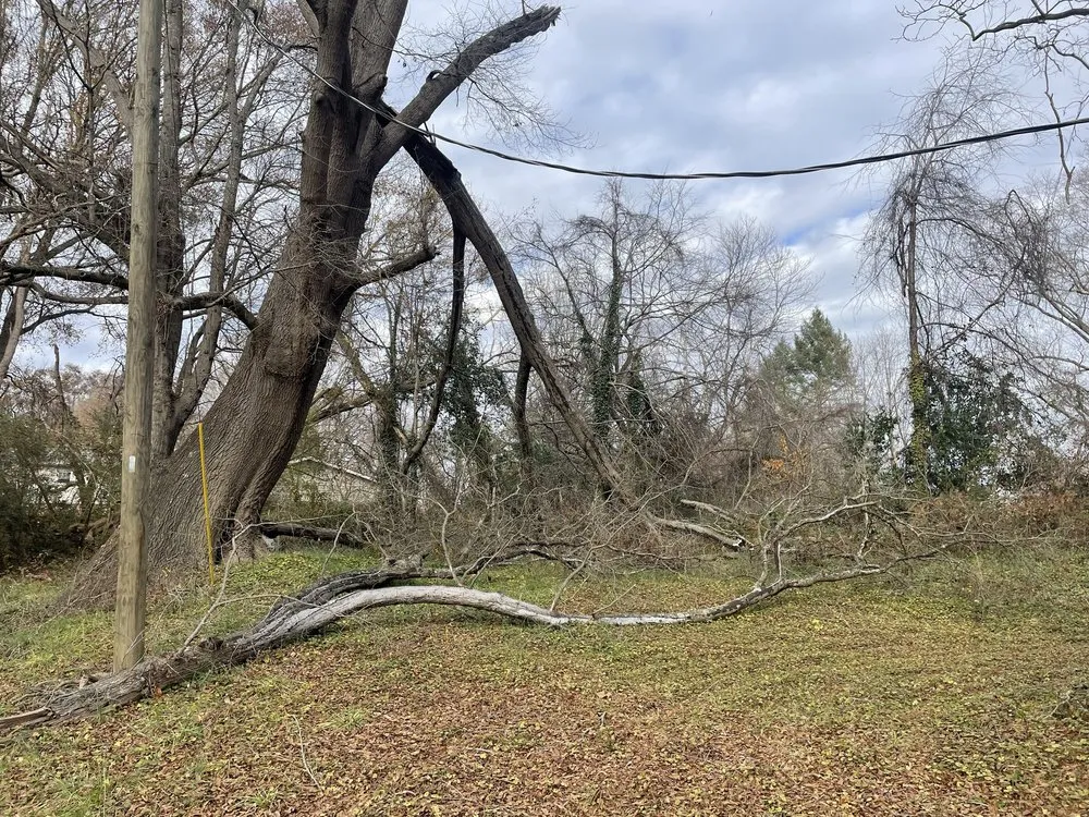 Custom lawn mowing service for homes in Gastonia, NC by Thomas Outdoor Service