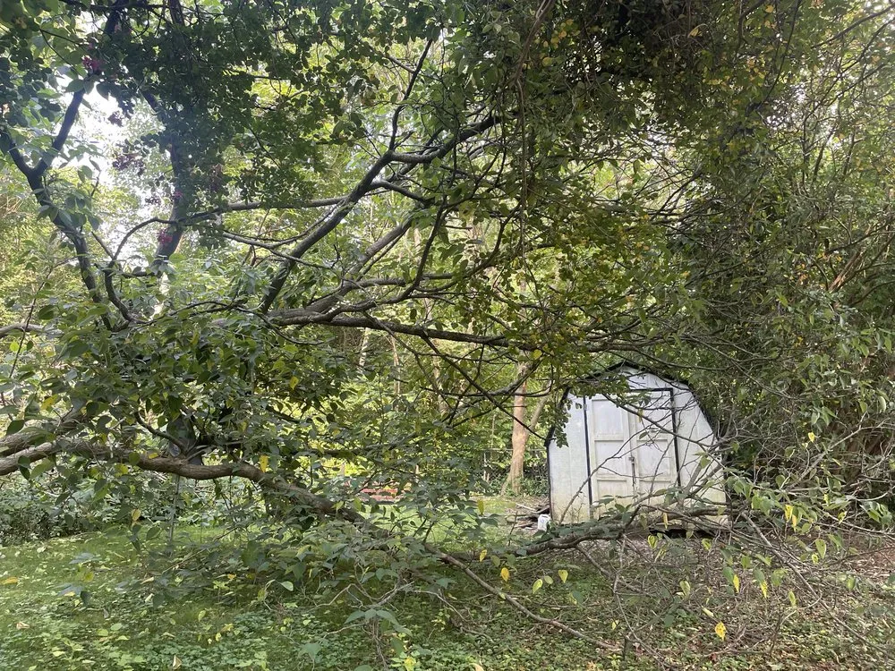 Custom yard cleanup service experts serving Gastonia, NC - Thomas Outdoor Service