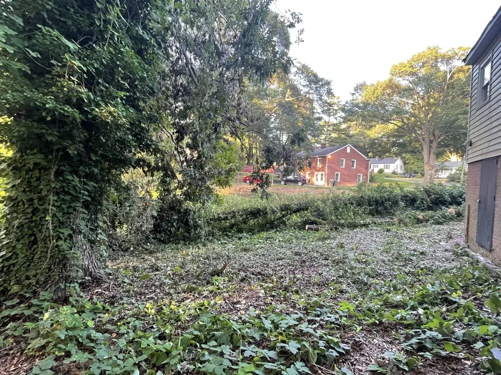 Affordable landscape design in Gastonia, NC by Thomas Outdoor Service