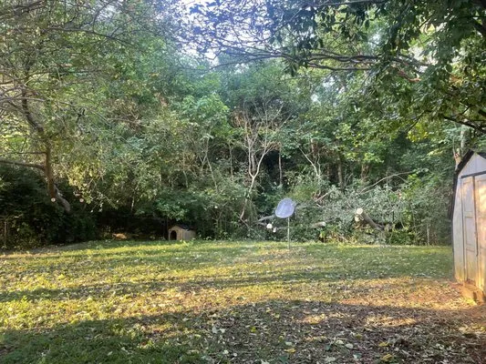 Thomas Outdoor Service Logo