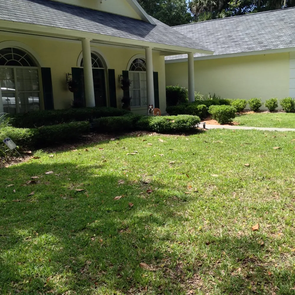 Local lawn care service experts serving Ormond Beach, FL - Thomas Outdoors