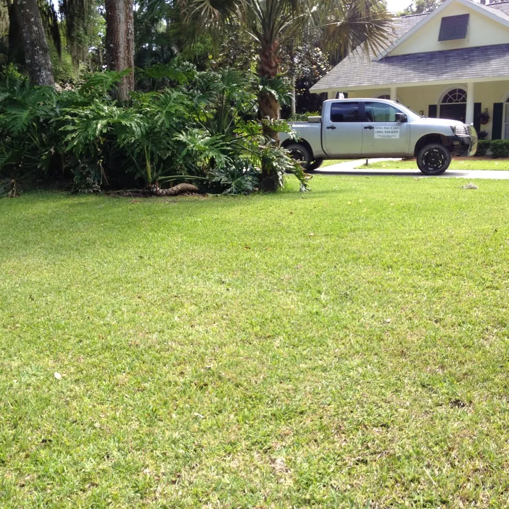 Custom yard maintenance in Ormond Beach, FL by Thomas Outdoors