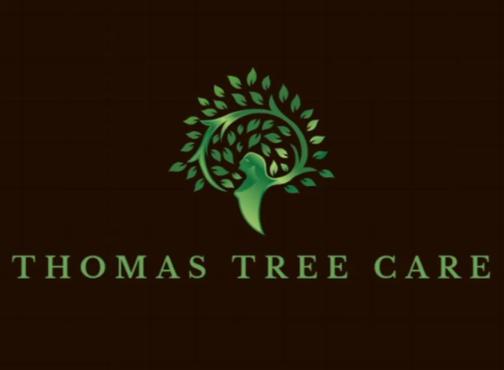 Local yard cleanup service experts serving Las Vegas, NV - Thomas Tree care